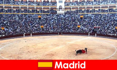 Festas tradicionais em Madri surpreendem todos os estrangeiros