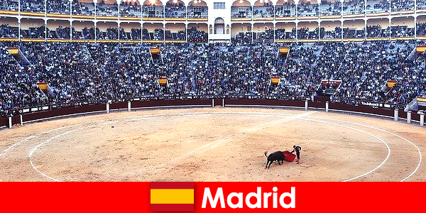 Festas tradicionais em Madri surpreendem todos os estrangeiros