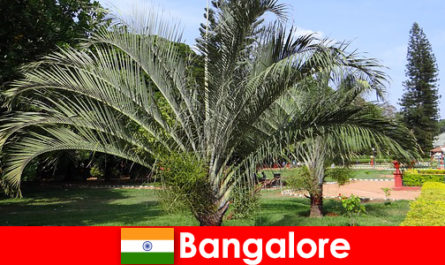 O clima tipo de Bangalore durante todo o ano vale uma viagem para todos os estrangeiros