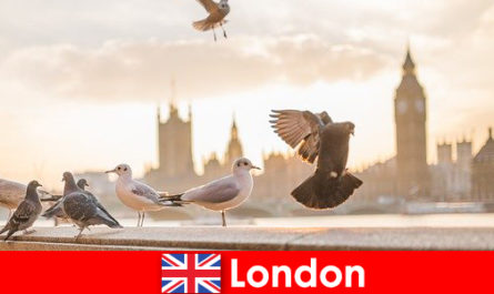 Locais a visitar em Londres para visitantes internacionais de origem estrangeira