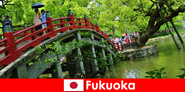 Para os imigrantes, Fukuoka é um ambiente descontraído e internacional com alta qualidade de vida