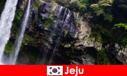 Jeju na Coreia do Sul, a ilha vulcânica subtropical com florestas deslumbrantes para os estrangeiros