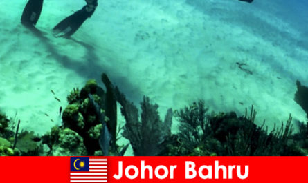 Atividades de aventura em Johor Bahru Mergulho, escalada, caminhada e muito mais