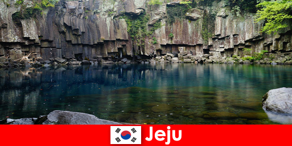 Viagem exótica de longa distância para a bela paisagem vulcânica de Jeju, Coreia do Sul
