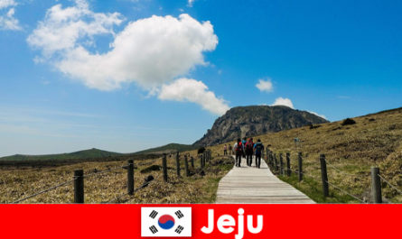 Turistas caminham pela fantástica paisagem natural em Jeju, Coreia do Sul
