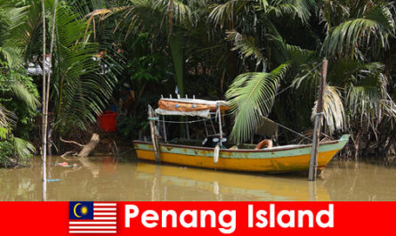 Viagem de longa distância para caminhantes pela selva da Ilha de Penang, Malásia