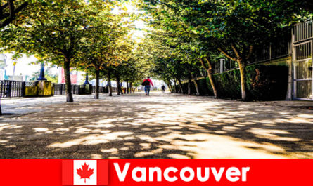 Os guias da cidade de Canadá Vancouver acompanham turistas estrangeiros aos cantos locais
