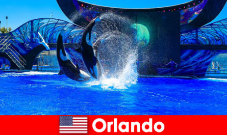 Reserve viagens individuais para estrangeiros em Orlando, Estados Unidos