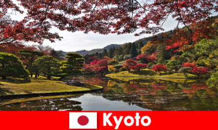 Viagem ao exterior para Kyoto, Japão, para ver a famosa coloração da folhagem de outono