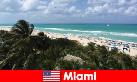 Palmeiras e ondas de areia aguardam os turistas de longa data na paradisíaca Miami, Estados Unidos