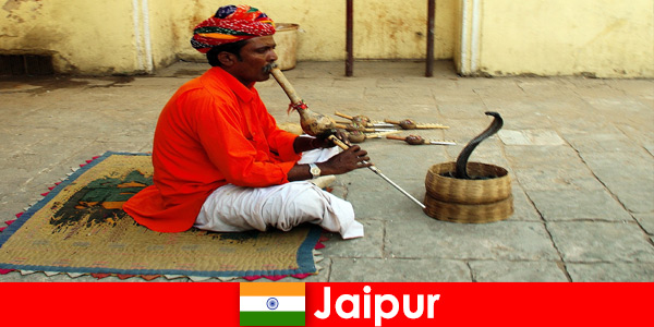 Em Jaipur, Índia, os turistas experimentam a dança da cobra e se divertem nas ruas movimentadas