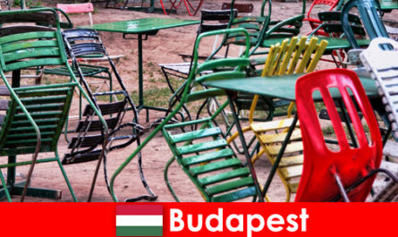 Bistrôs, bares e restaurantes interessantes aguardam os viajantes na bela Budapeste, Hungria