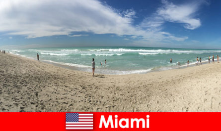 Jovens viajantes acham o caloroso Miami, Estados Unidos, empolgante, moderno e único