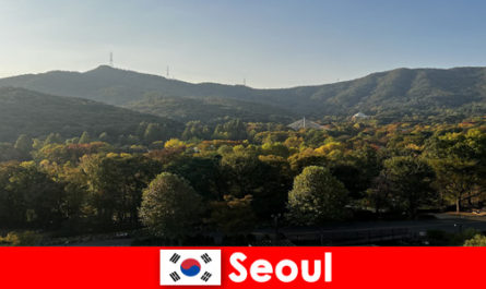 Pacotes de férias populares para grupos para Seul, Coreia do Sul