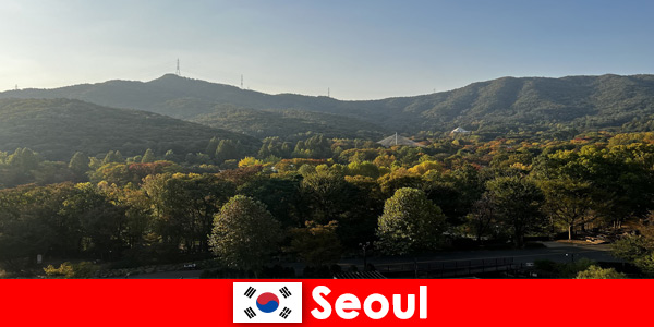 Pacotes de férias populares para grupos para Seul, Coreia do Sul