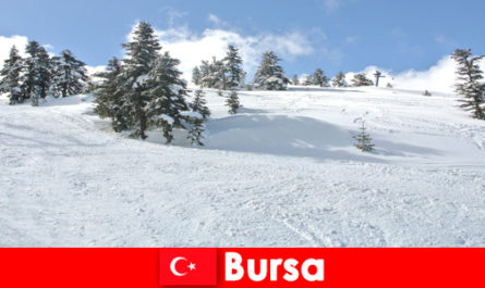 Viagem de inverno para famílias na maior área de esqui de Bursa, Turquia