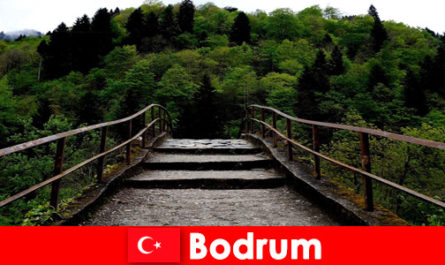 Temperatura amena é a melhor época para caminhadas para turistas em Bodrum, Turquia