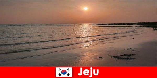 Destino de sonho para casamentos e convidados estrangeiros em Jeju Coreia do Sul