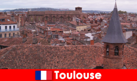 Experimente vistas encantadoras na perfeita Toulouse França