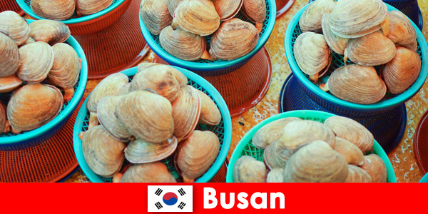 Busan Coreia do Sul tem frutos do mar frescos diariamente no mercado