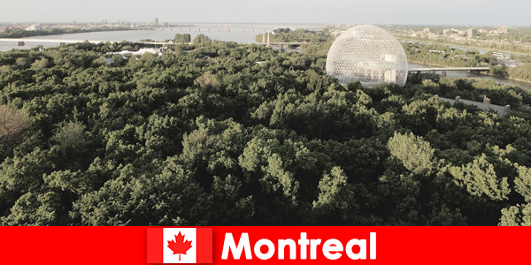 Mochileiros exploram a natureza selvagem a pé em Montreal, Canadá