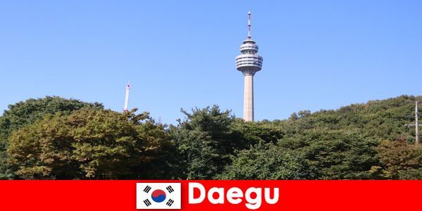 A bela cidade de Daegu Coreia do Sul adora turistas de todo o mundo