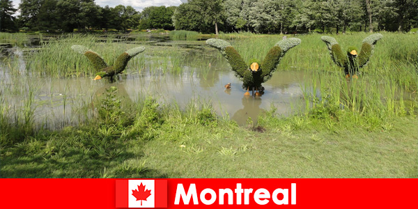 Descubra a natureza e animais raros em Montreal Canadá