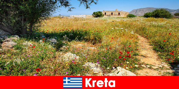 Comida mediterrânea saudável com experiências na natureza aguardam turistas em Creta, Grécia