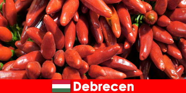 O vegetal mais famoso que é encontrado em quase todos os pratos em Debrecen Hungria