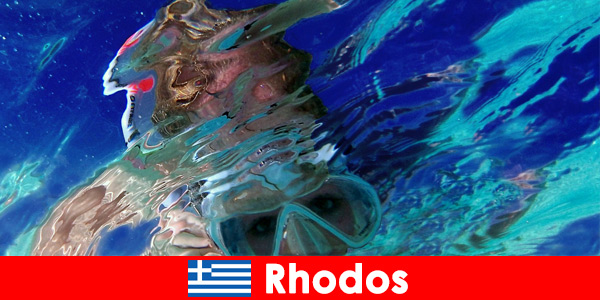 Fascinante mundo subaquático para descobrir no paraíso de férias de Rodes Grécia