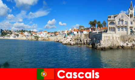 Experimente hotéis de primeira classe com cozinha gourmet em Cascais Portugal