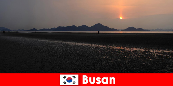 Experimente a natureza intocada e muitas atividades em Busan Coreia do Sul