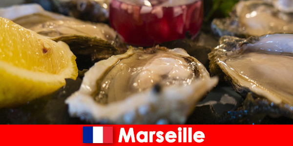 Desfrute de frutos do mar frescos e do toque especial em Marselha, França