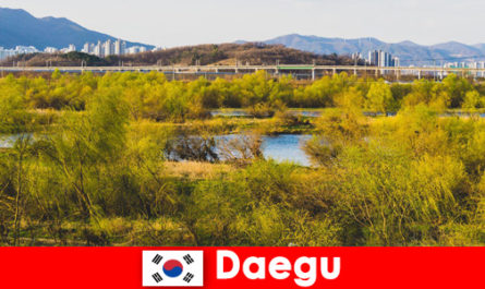 Dicas para viajantes independentes em Daegu, Coreia do Sul