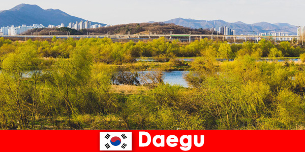 Dicas para viajantes independentes em Daegu, Coreia do Sul