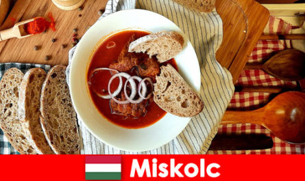 Os hóspedes em Miskolc Hungria desfrutam de localidades e cultura locais