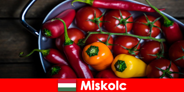 Miskolc na Hungria oferece comida saudável e fresca com produtos regionais