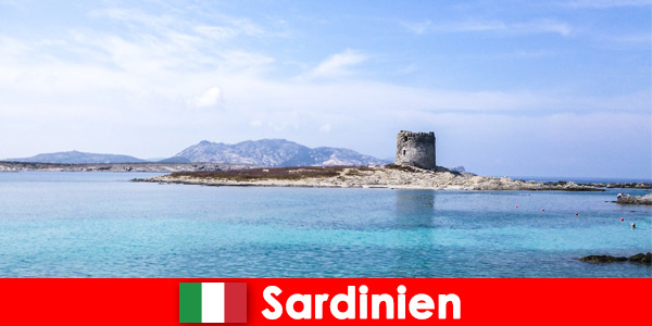 Viagem culinária à Sardenha para descobrir a culinária italiana