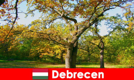 Férias de spa para aposentados em Debrecen Hungria com muito coração
