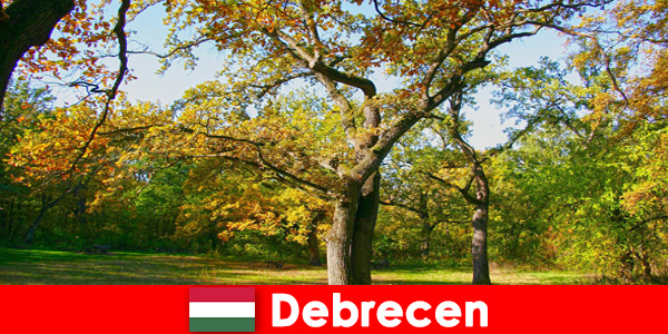 Férias de spa para aposentados em Debrecen Hungria com muito coração