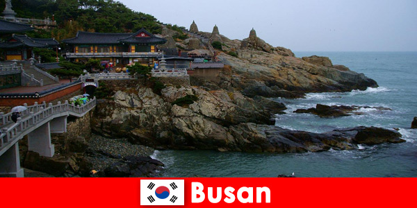 Busan Coreia do Sul uma cidade para se apaixonar