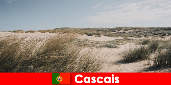 Vento, sol e mar oferecem uma tranquilidade fantástica em Cascais Portugal