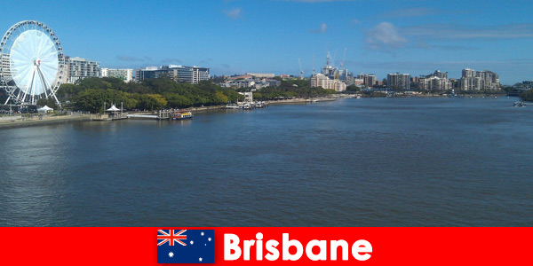 Desfrute de ótimas experiências em Brisbane Austrália como estrangeiro