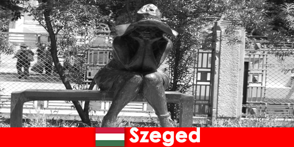 Existem inúmeras figuras de pedra para admirar em Szeged Hungria