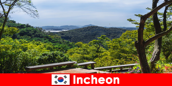 Cidade e natureza em Incheon Coreia do Sul se harmonizam muito bem entre si