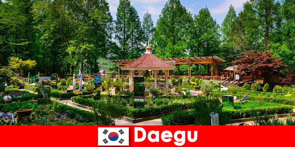 Daegu na Coreia do Sul a cidade com diversidade e muitos pontos turísticos