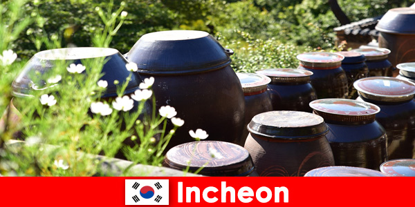 Observe lagos de montanhas e uma variedade de plantas em Incheon Coreia do Sul
