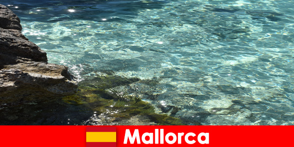 Um lugar de sonho de saudade para todos os visitantes é Mallorca na Espanha