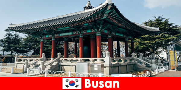 Vale sempre a pena ver os templos decorados em Busan na Coreia do Sul