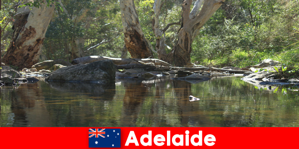 Experimente a natureza no seu melhor em Adelaide